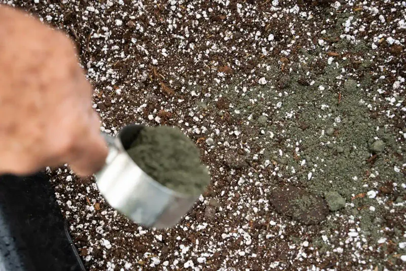 Miracle Dust