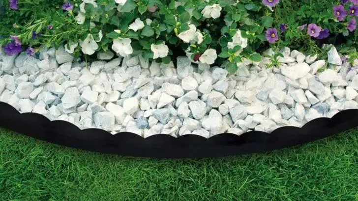 9 Outdated Garden “Rules” You Can Ignore Completely Now