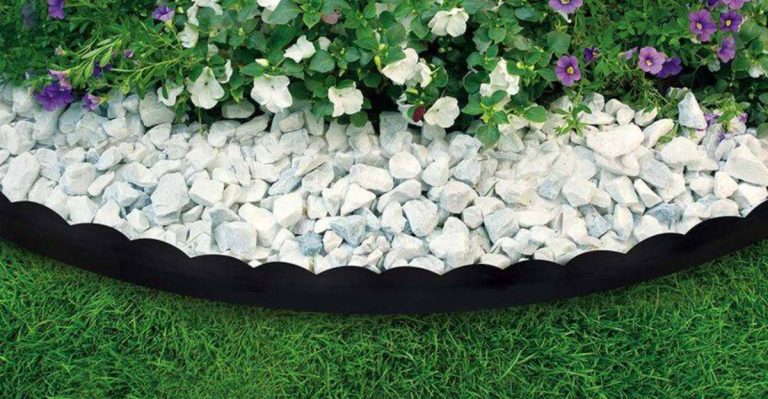 9 Outdated Garden “Rules” You Can Ignore Completely Now