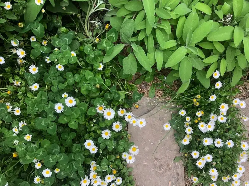 A Lesson in Resilience