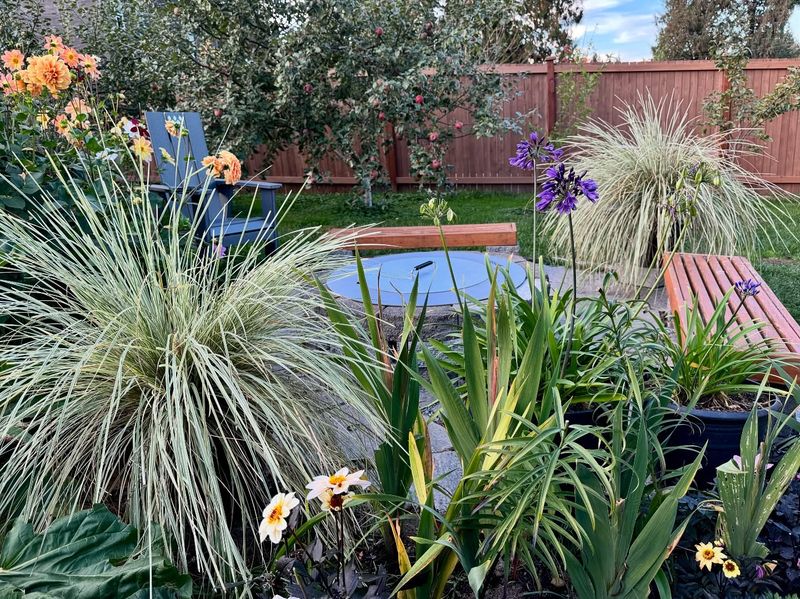 A Low-Maintenance Gardening Partner