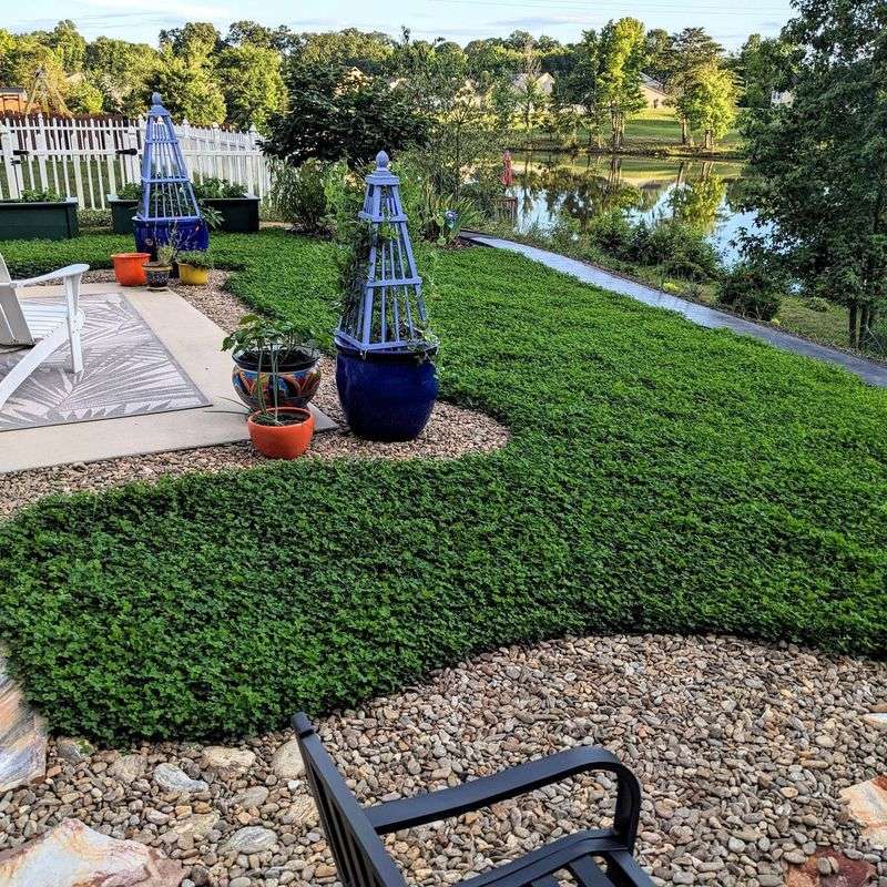 Erosion Control