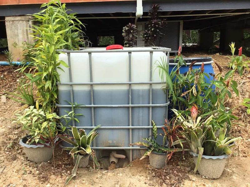 Use Greywater Systems