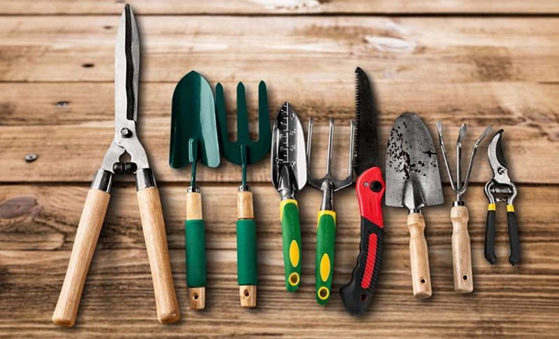 Pathogen Eradication in Tools