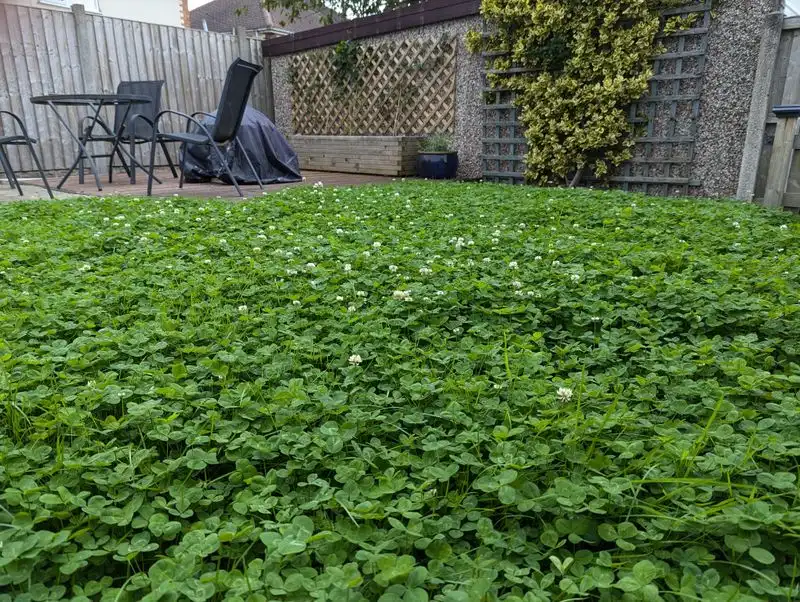 Rapid Growth