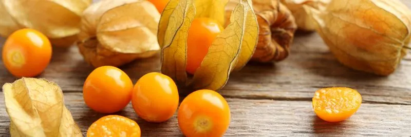 Ground Cherry