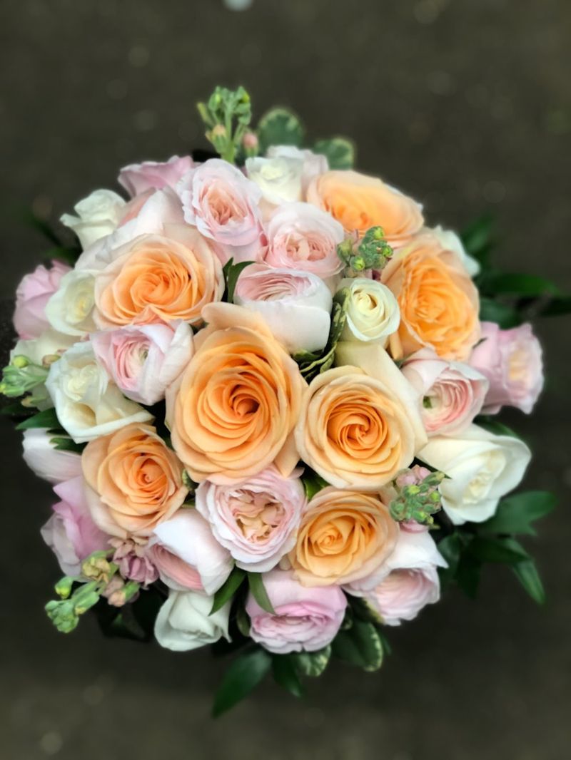 Ranunculus