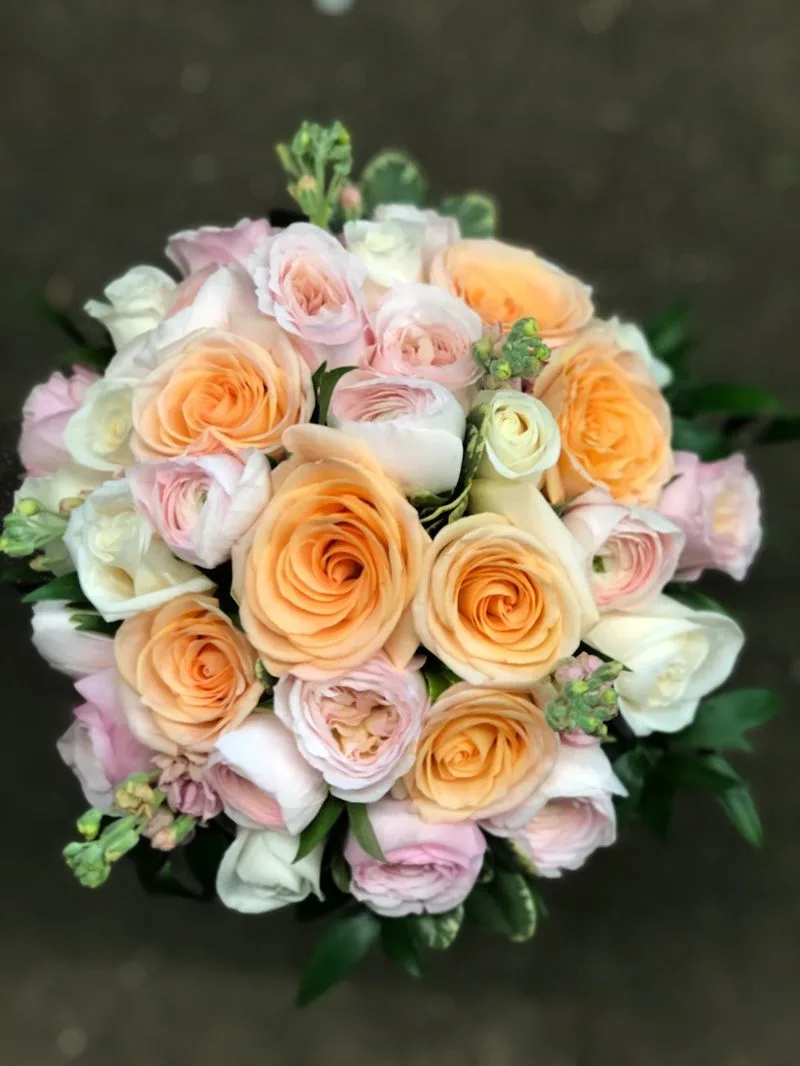 Ranunculus