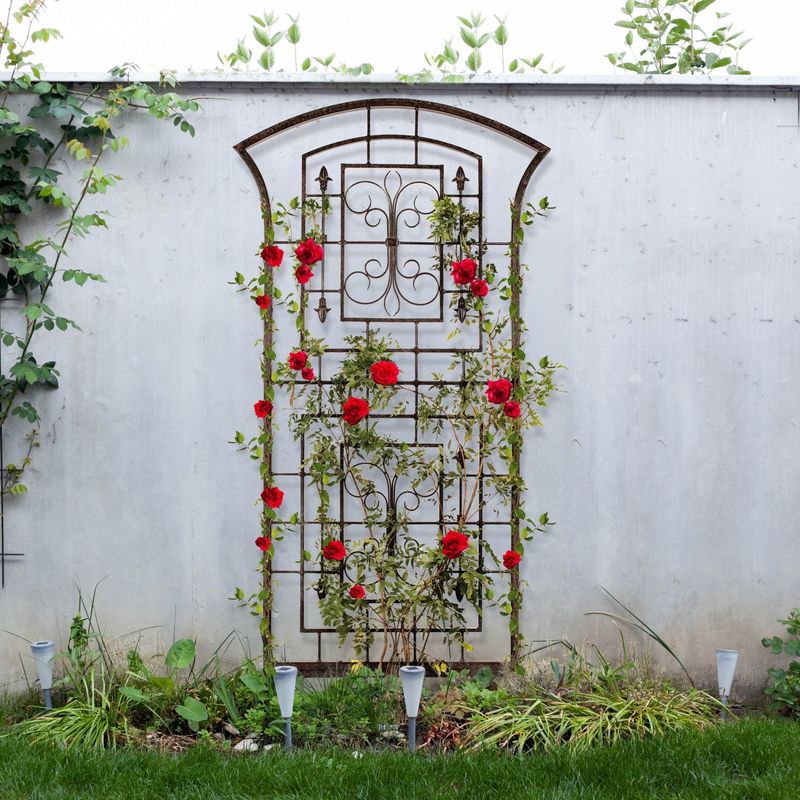 Rusty Iron Gate Trellis