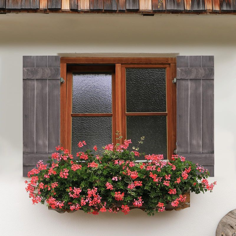 Decorative Wooden Shutters