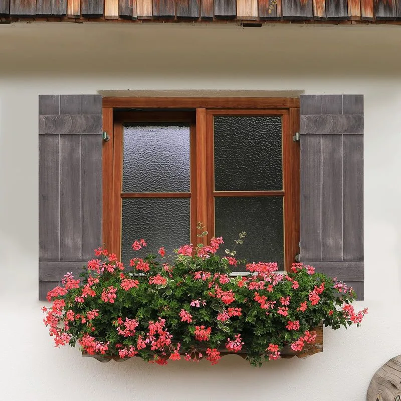 Decorative Wooden Shutters