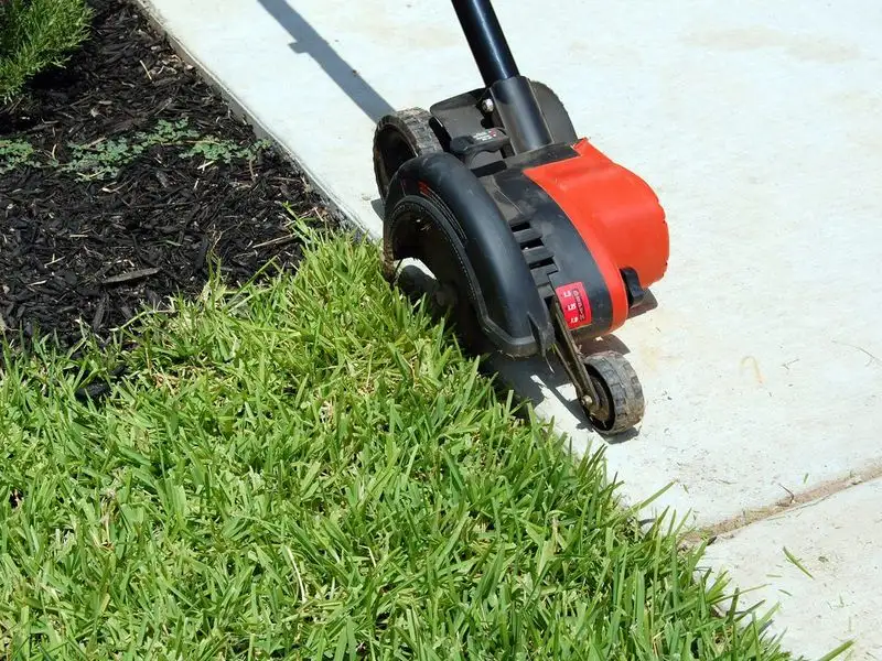 Edge Your Lawn Neatly