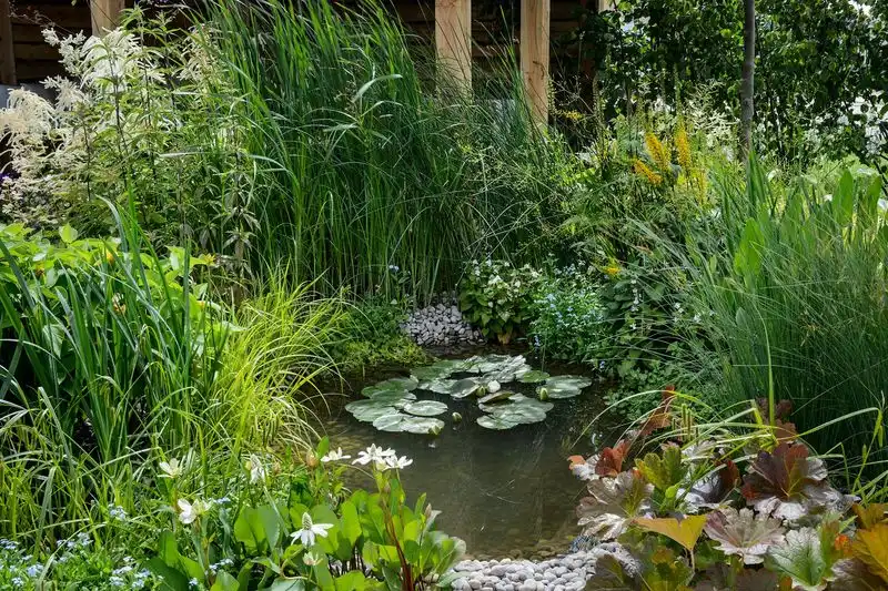 Aquatic Oasis