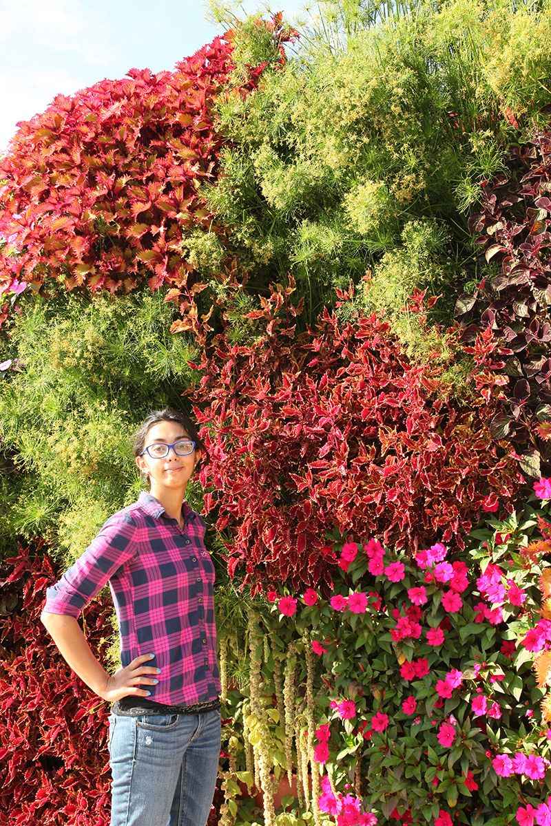 Vertical Gardens