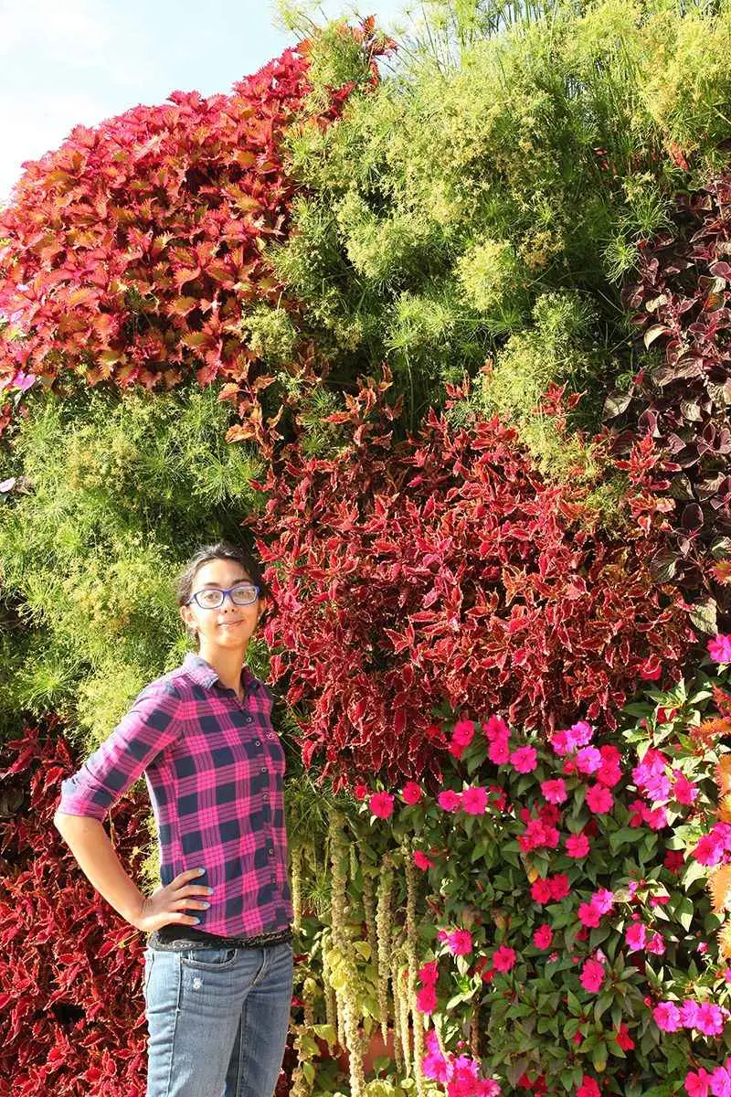 Vertical Gardens
