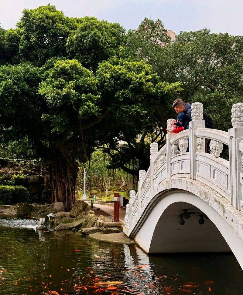 Traditional Chinese Bridge
