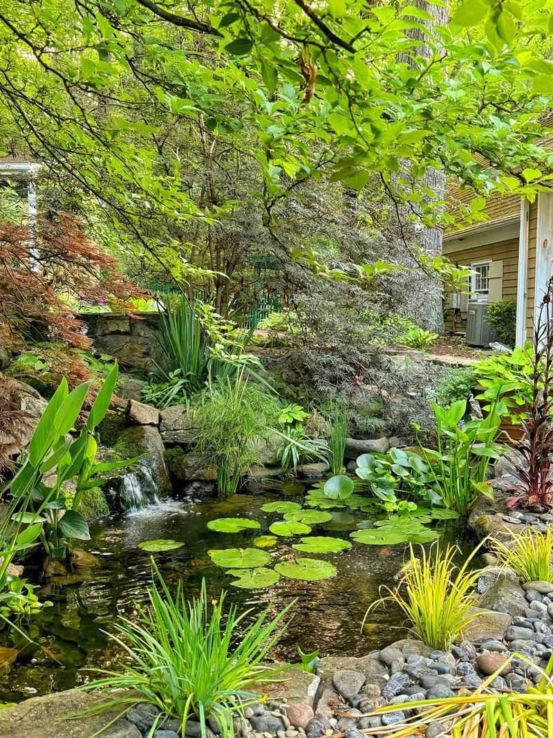 Water Features