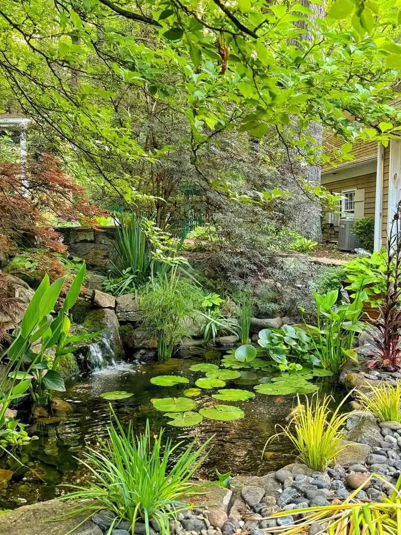 Water Features