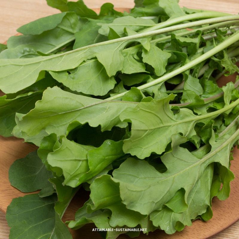 Arugula