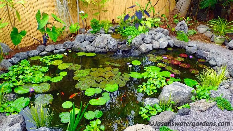 The Charm of Water Features