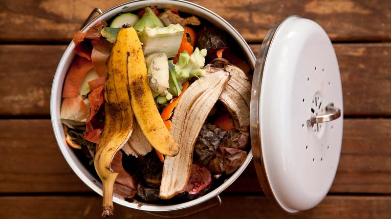 Avoid Meat and Dairy