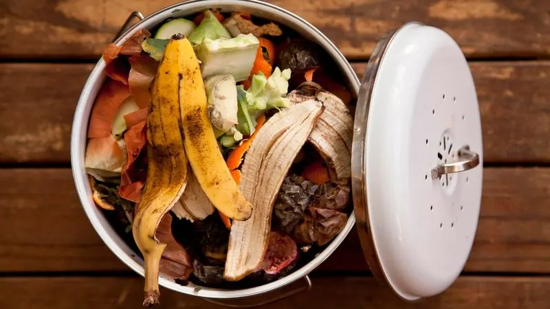 Avoid Meat and Dairy