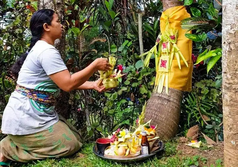 Balinese Tumpek Uduh