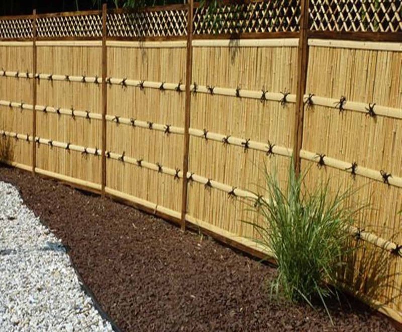 Bamboo Fences
