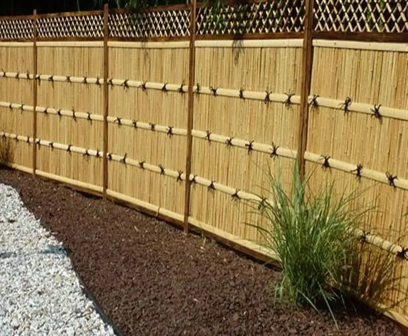 Bamboo Fences