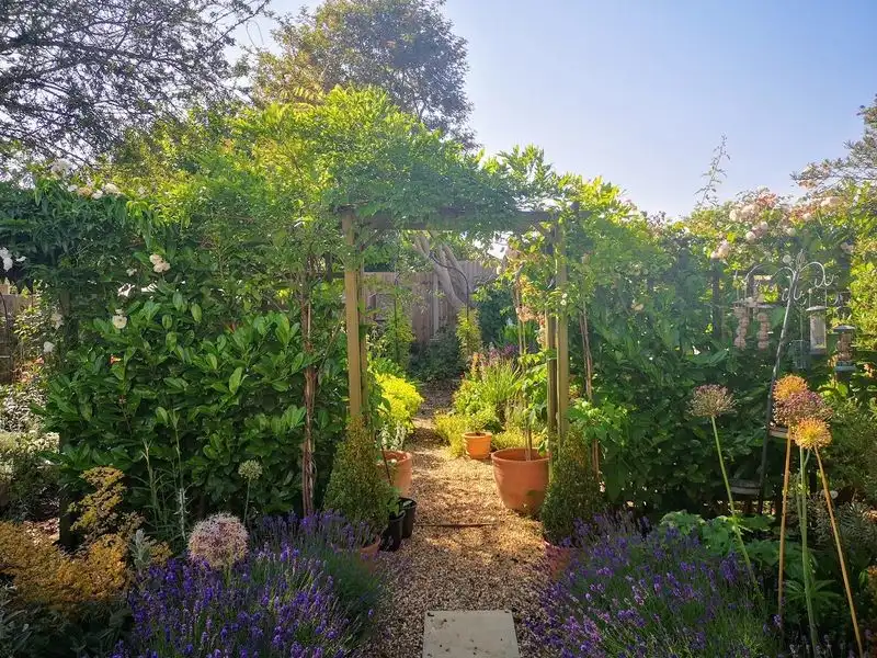 Bamboo Garden Arches