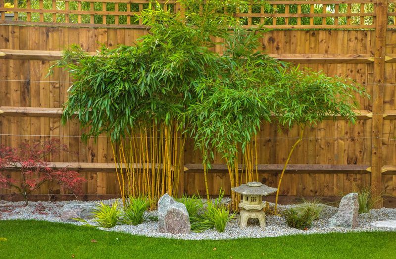 Bamboo Zen Garden