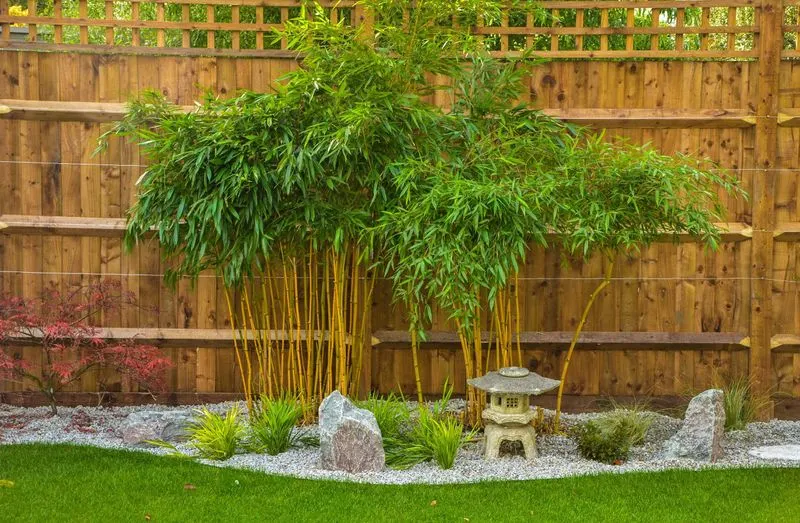 Bamboo Zen Garden