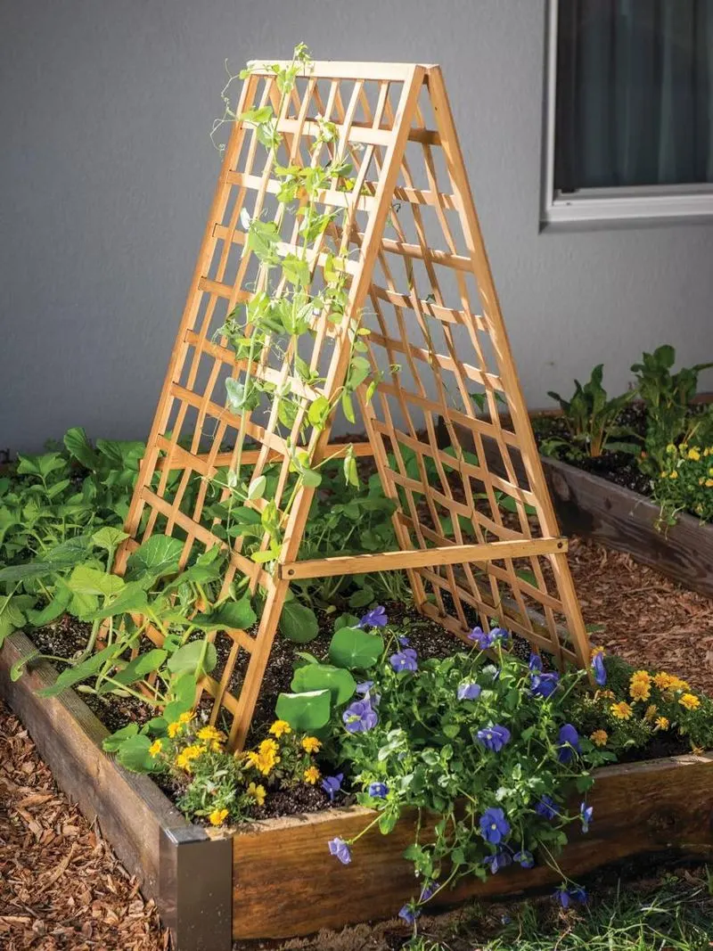 Bamboo Trellis for Climbing Plants