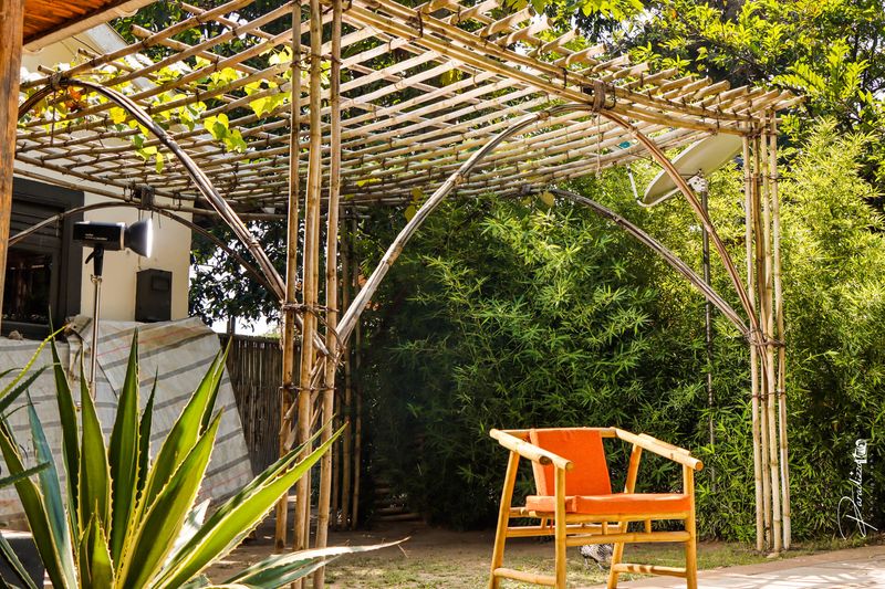 Bamboo Pergola