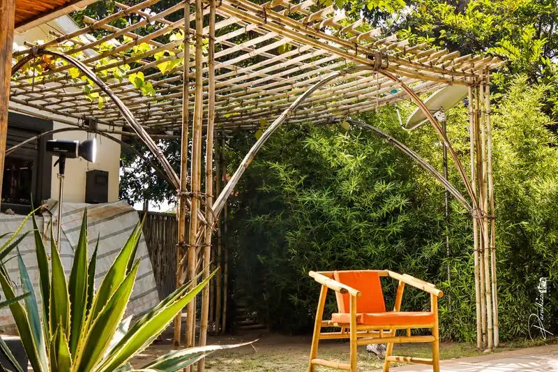 Bamboo Pergola