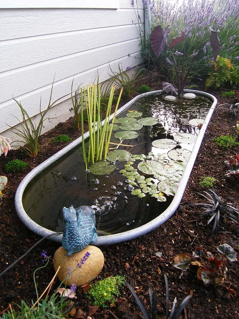 Bathtub Water Features