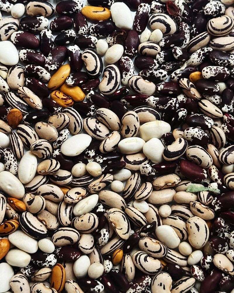 Beans