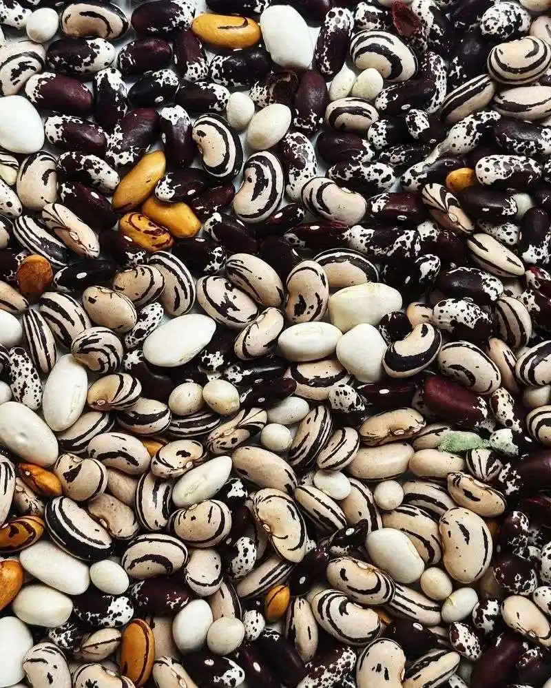 Beans