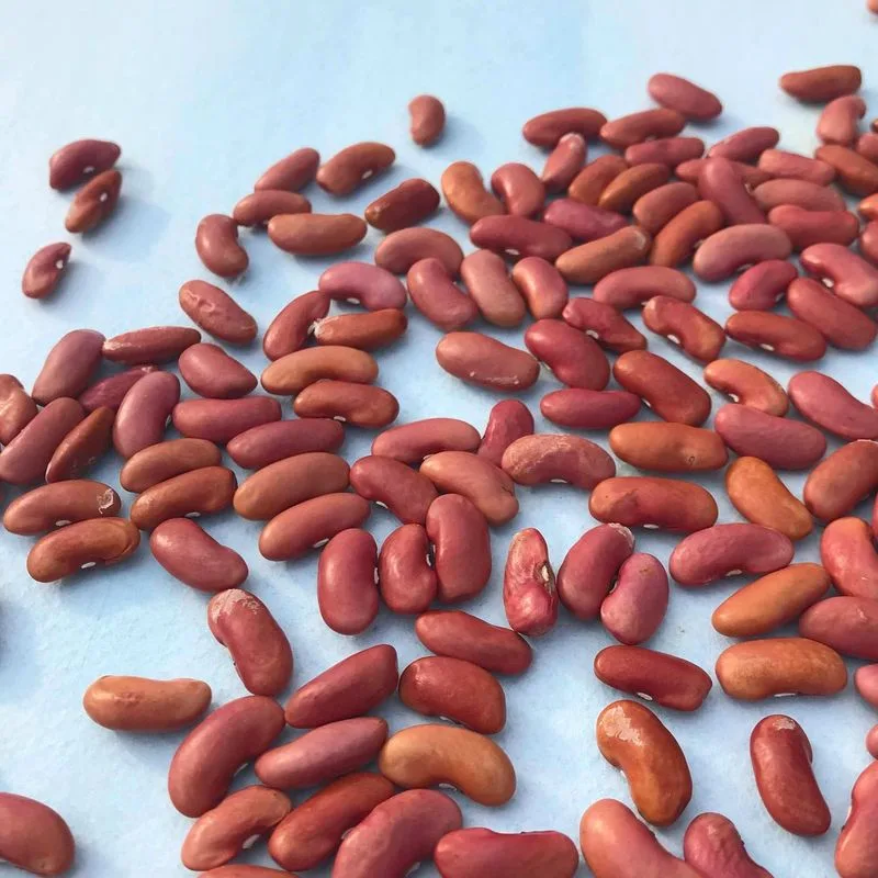 Beans