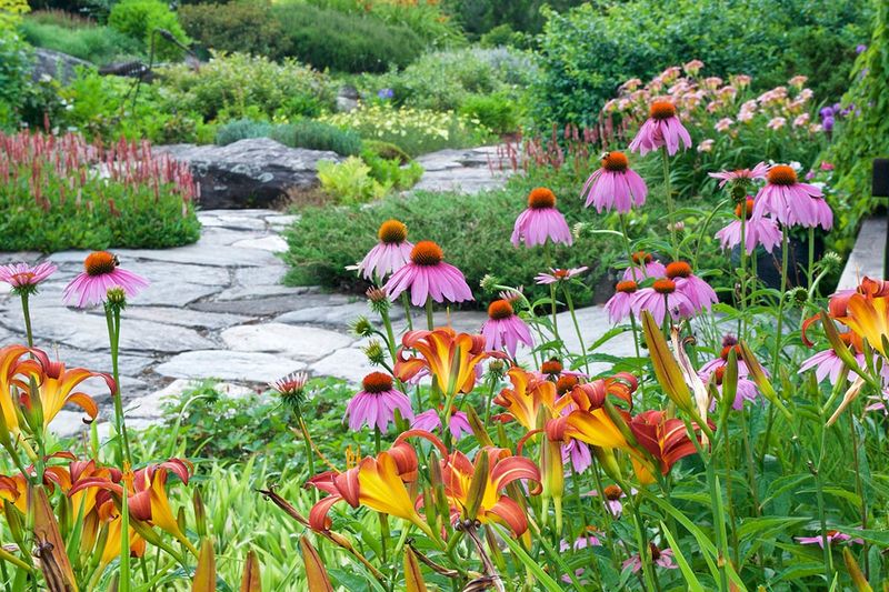Bee-Friendly Plantings