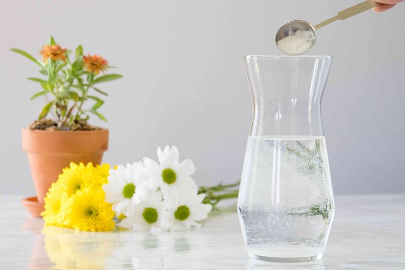 Seed Germination Aid