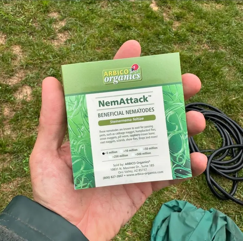 Beneficial Nematodes