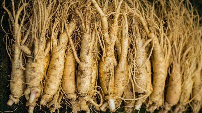 Ginseng