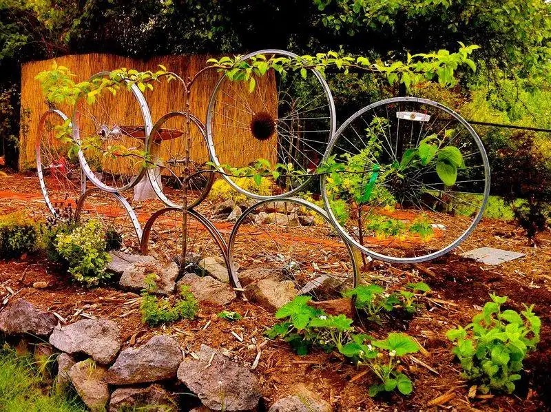 Bicycle Wheel Trellis