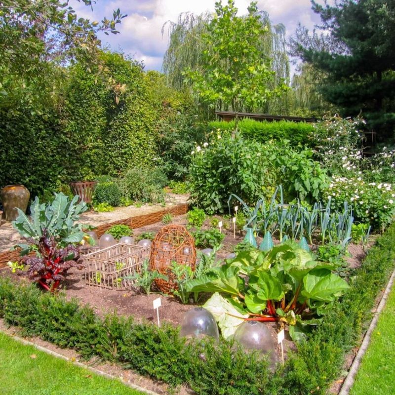 Edible Landscaping