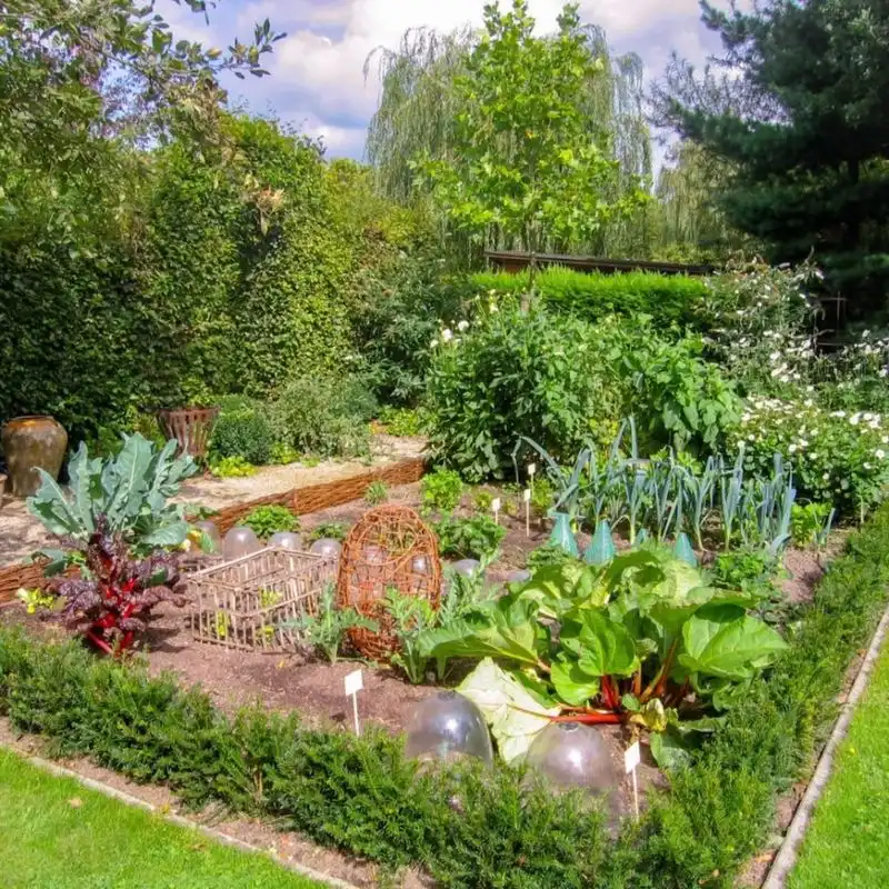 Edible Landscaping
