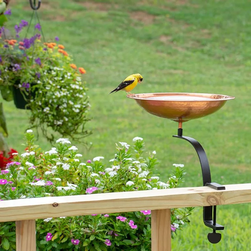 Bird Bath and Feeder Set