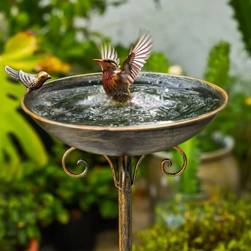Bird Baths