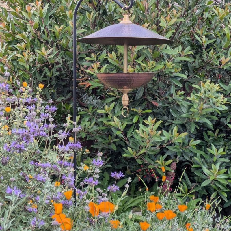 Bird Songs
