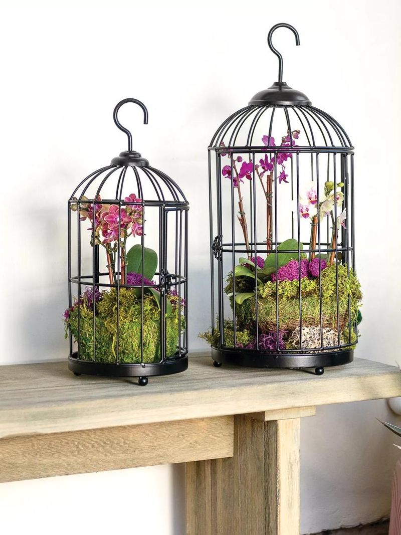 Birdcage Planters
